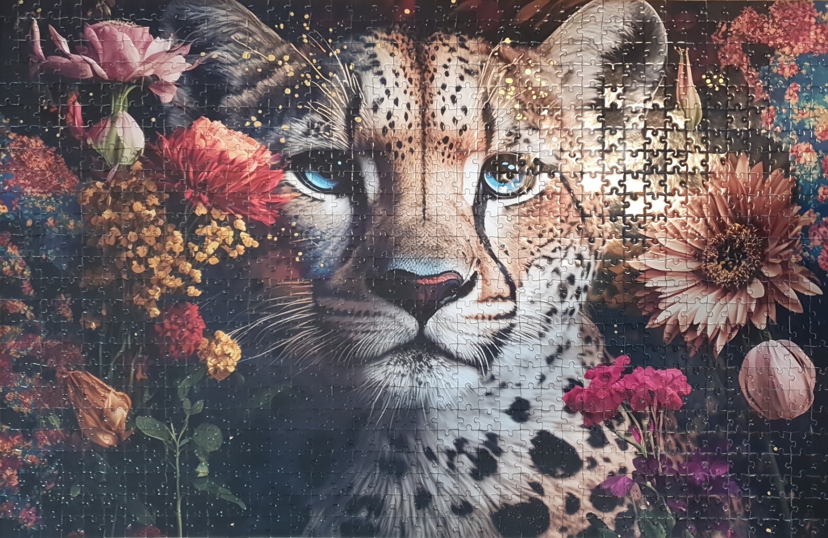Tiger Bild 2